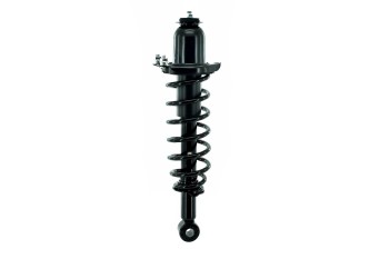 Suspension Strut and Coil Spring Assembly