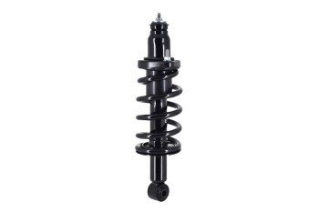 Suspension Strut and Coil Spring Assembly