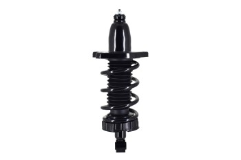 Suspension Strut and Coil Spring Assembly