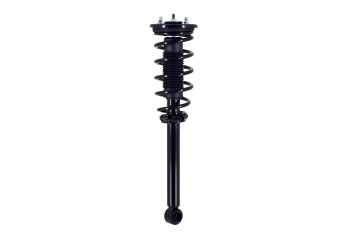 Suspension Strut and Coil Spring Assembly