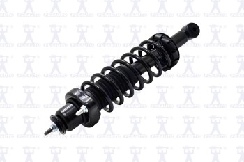 Suspension Strut and Coil Spring Assembly