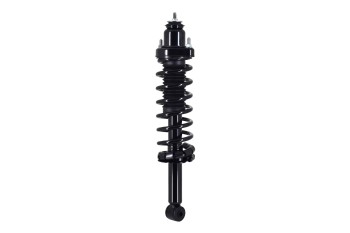 Suspension Strut and Coil Spring Assembly