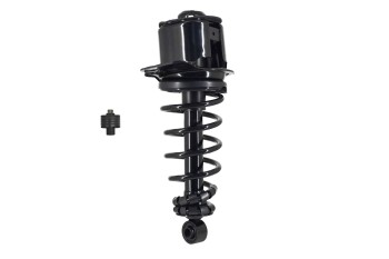 Suspension Strut and Coil Spring Assembly