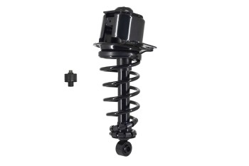 Suspension Strut and Coil Spring Assembly