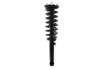 Suspension Strut and Coil Spring Assembly