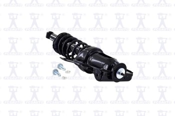 Suspension Strut and Coil Spring Assembly