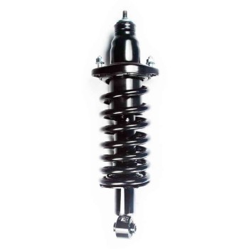 Suspension Strut and Coil Spring Assembly