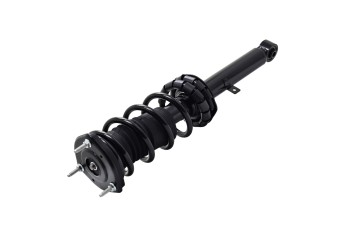 Suspension Strut and Coil Spring Assembly