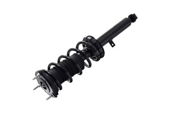 Suspension Strut and Coil Spring Assembly