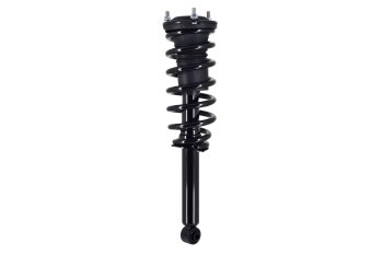Suspension Strut and Coil Spring Assembly