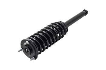 Suspension Strut and Coil Spring Assembly