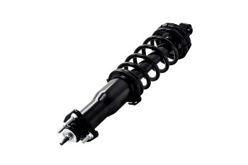 Suspension Strut and Coil Spring Assembly