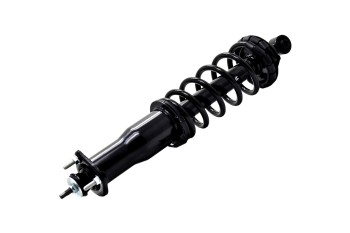 Suspension Strut and Coil Spring Assembly