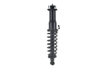Suspension Strut and Coil Spring Assembly