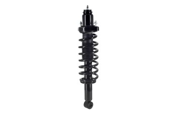Suspension Strut and Coil Spring Assembly