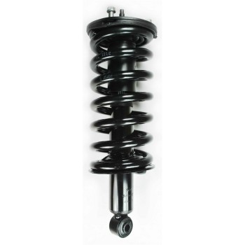 Suspension Strut and Coil Spring Assembly