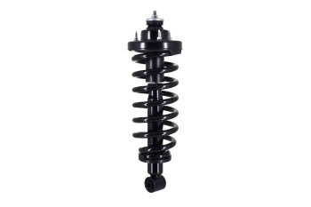 Suspension Strut and Coil Spring Assembly