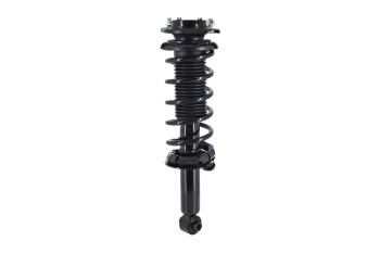 Suspension Strut and Coil Spring Assembly