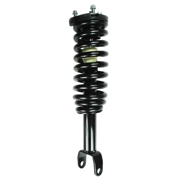 Suspension Strut and Coil Spring Assembly