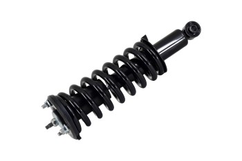 Suspension Strut and Coil Spring Assembly