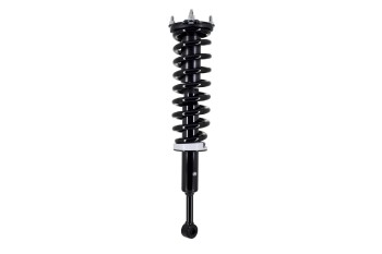 Suspension Strut and Coil Spring Assembly