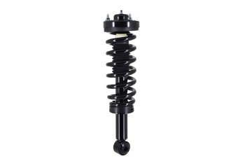 Suspension Strut and Coil Spring Assembly