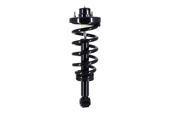 Suspension Strut and Coil Spring Assembly