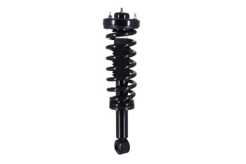 Suspension Strut and Coil Spring Assembly