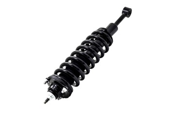 Suspension Strut and Coil Spring Assembly