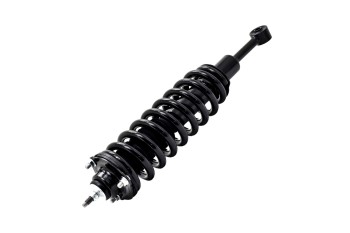 Suspension Strut and Coil Spring Assembly