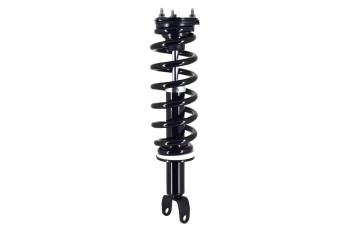 Suspension Strut and Coil Spring Assembly