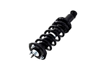 Suspension Strut and Coil Spring Assembly