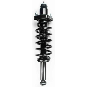 Suspension Strut and Coil Spring Assembly