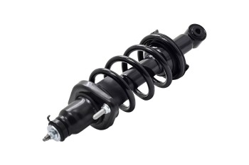 Suspension Strut and Coil Spring Assembly