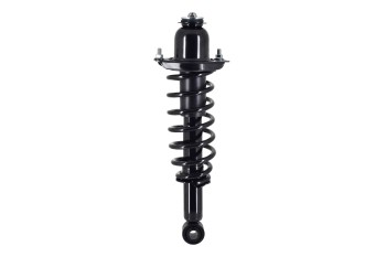 Suspension Strut and Coil Spring Assembly