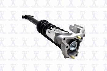 Suspension Strut and Coil Spring Assembly