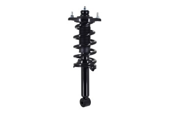 Suspension Strut and Coil Spring Assembly