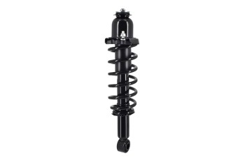 Suspension Strut and Coil Spring Assembly