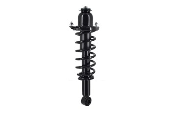 Suspension Strut and Coil Spring Assembly