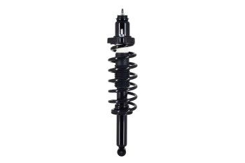 Suspension Strut and Coil Spring Assembly