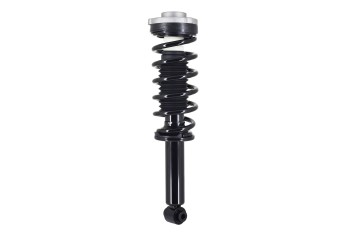 Suspension Strut and Coil Spring Assembly