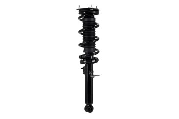 Suspension Strut and Coil Spring Assembly