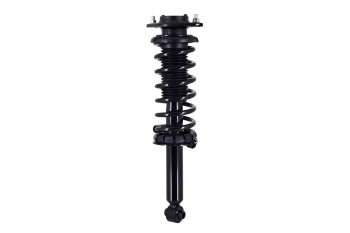 Suspension Strut and Coil Spring Assembly