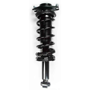 Suspension Strut and Coil Spring Assembly
