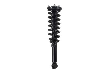 Suspension Strut and Coil Spring Assembly