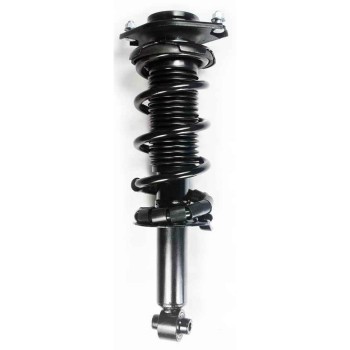 Suspension Strut and Coil Spring Assembly
