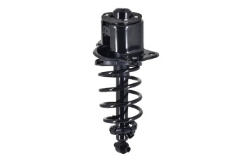 Suspension Strut and Coil Spring Assembly