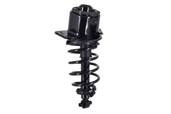 Suspension Strut and Coil Spring Assembly
