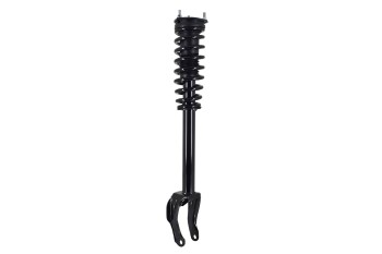 Suspension Strut and Coil Spring Assembly