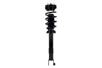 Suspension Strut and Coil Spring Assembly